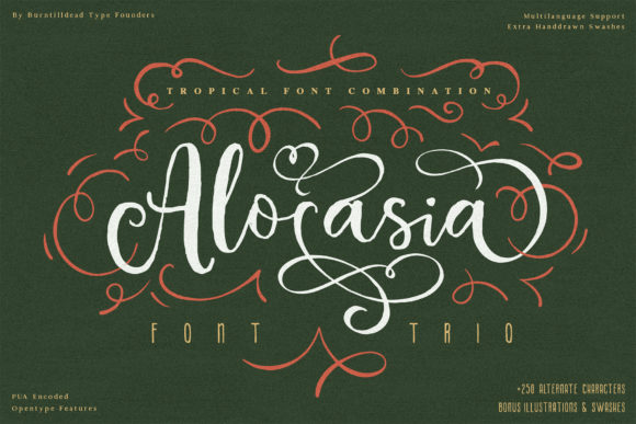 Alocasia: A Versatile Trio Font for Creative Campaigns