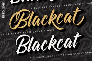 Blackcat: A Bold Script for Creative Projects