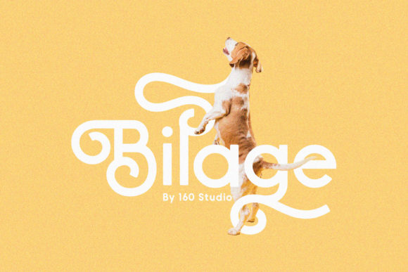 Enhance Your Visuals with Bilage, the Handwritten Font