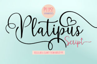 Platipus: A Versatile Script Font for Business Branding